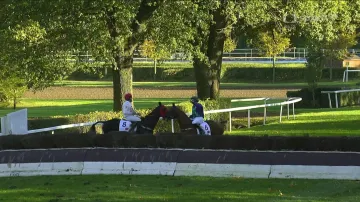 Fantastický finiš Velké pardubické skončil mrtvým doběhem