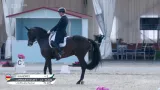 Drezura