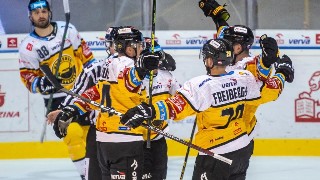 Hokejisté Litvínova se radují z gólu