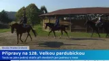 Ve Valech u Přelouče se připravuje šest koní na Velkou pardubickou