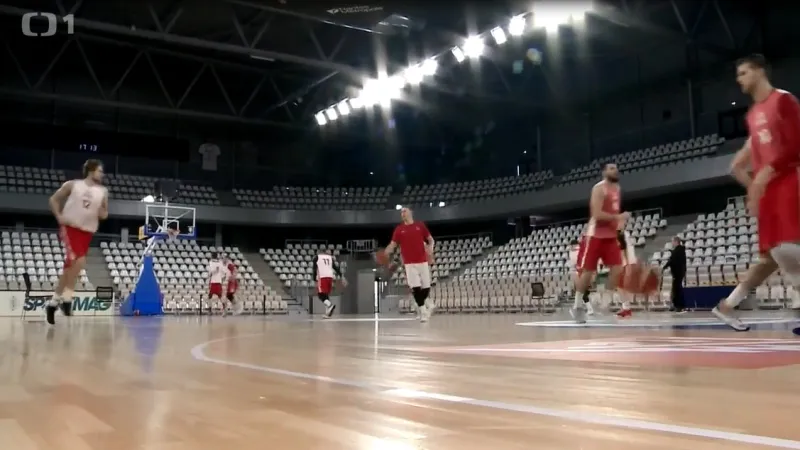 Basketbalisté se chystají na Francii