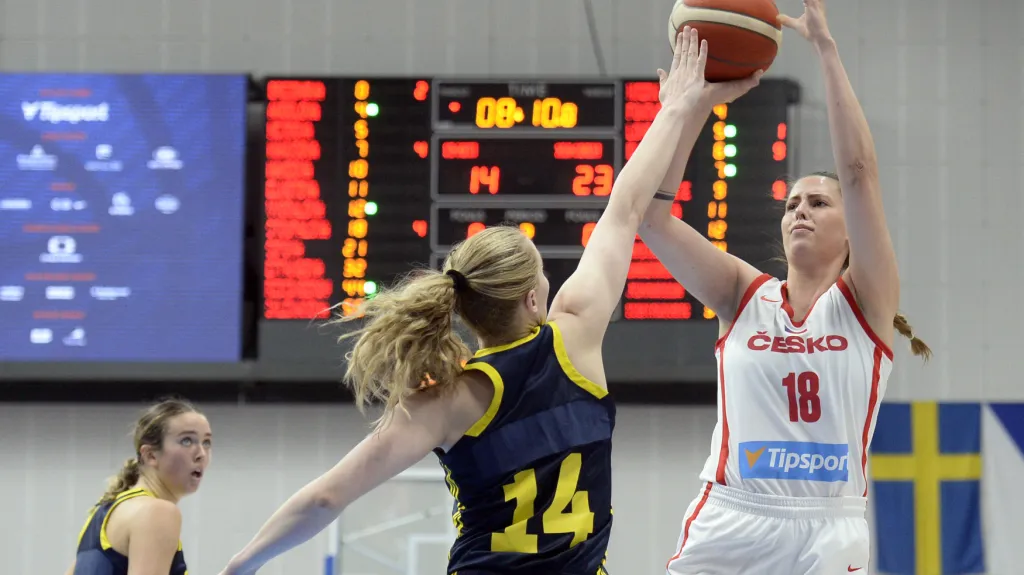 Utkání Česko - Švédsko