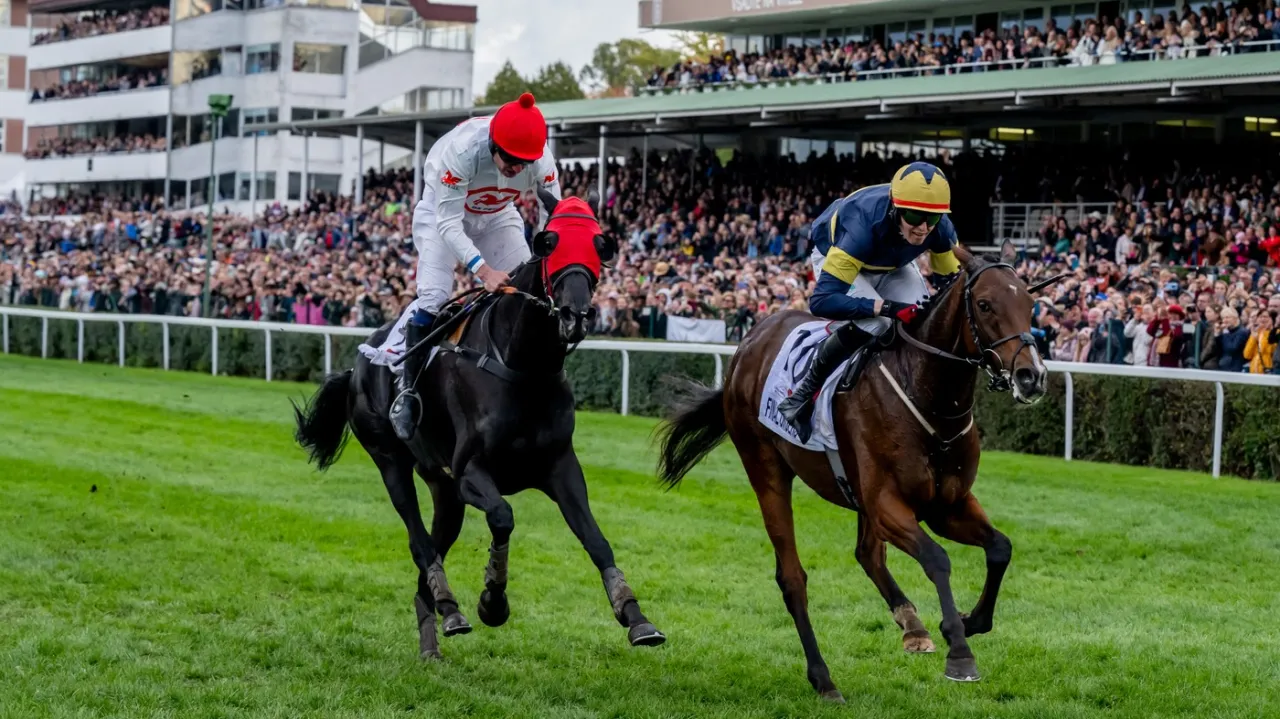 Znovu irský triumf. Velkou pardubickou ovládl Final Orders