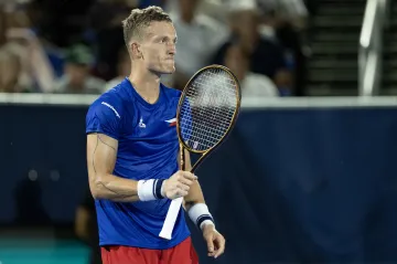 Jiří Lehečka v Davis Cupu