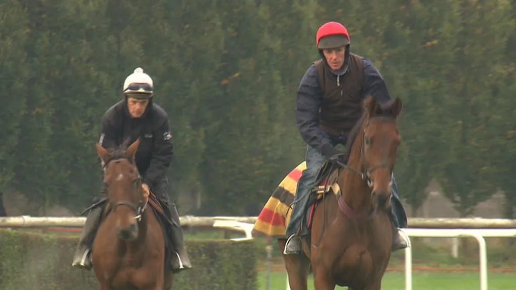 Po příjezdu zahraničních koní do Pardubic