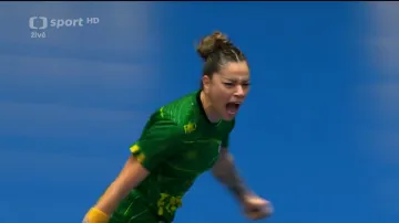 Sestřih utkání Švédsko – Brazílie