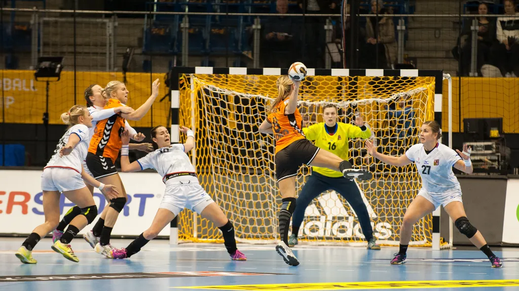 Utkání Česko - Nizozemsko