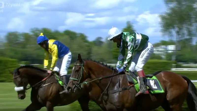 Hnědák No Time To Lose si v Pardubicích doletěl pro triumf v kvalifikaci