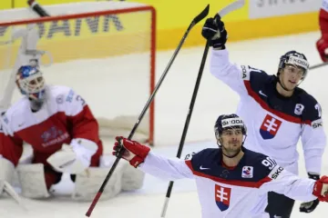Slováci se radují v zápase proti Dánsku