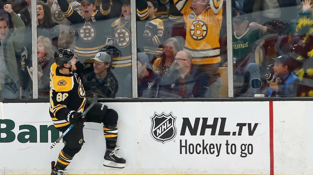 David Pastrňák se raduje z gólu 