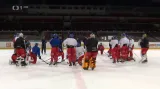 Hokejovou reprezentaci před Švédskými hrami doplnil Najman za Kašeho