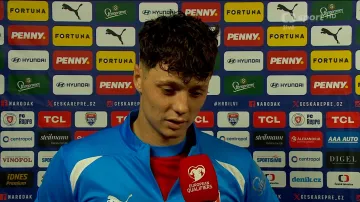 Krejčí: Chválím mančaft, jak bojovně bránil