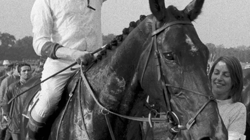 Chris Collins a Stephen's Society - vítězové Velké pardubické z roku 1973