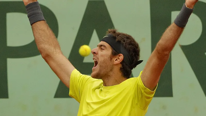 Juan Martin del Potro