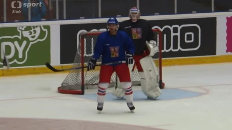 Před duelem Švédsko - Česko