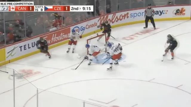Sestřih a ohlasy utkání Kanada 20 – Česko 20