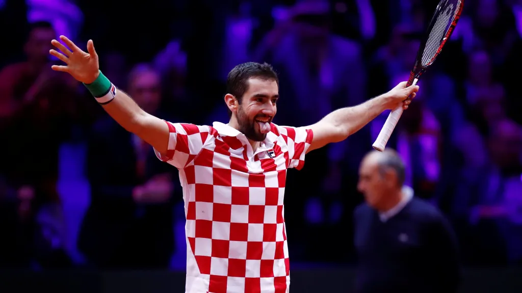 Marin Čilič slaví zisk rozhodujícího bodu ve finále Davis Cupu