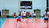 volej