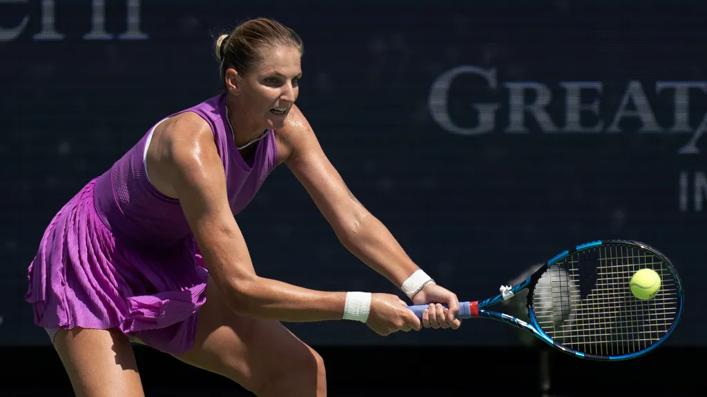 Karolína Plíšková