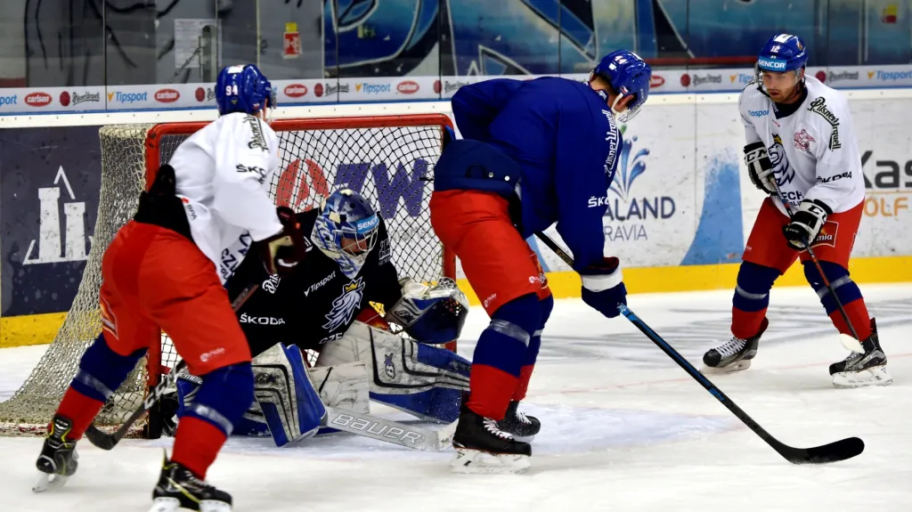 Trénink české reprezentace