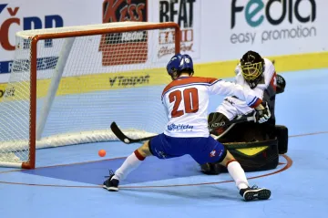 Utkání Česko - Švýcarsko