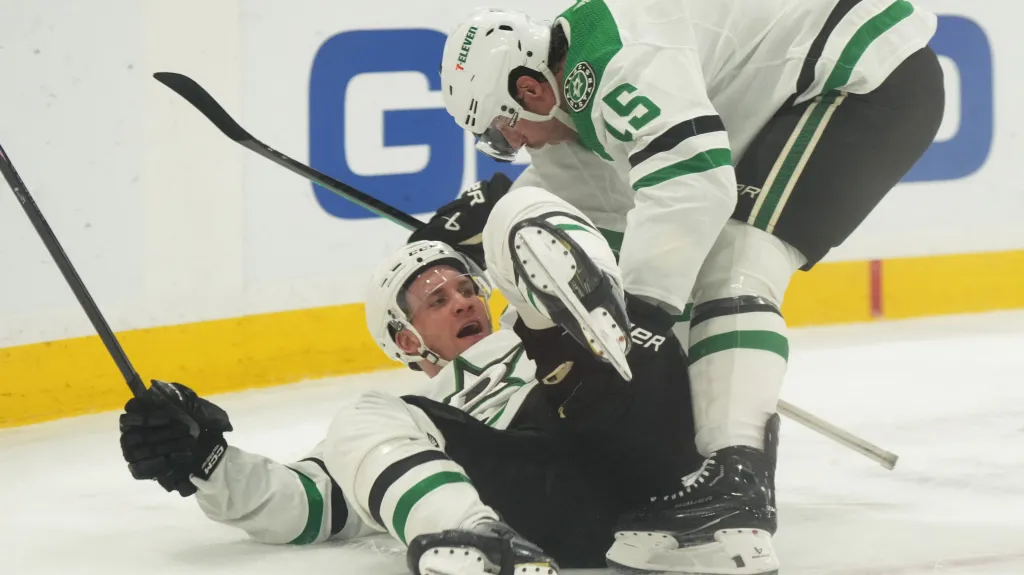 Radek Faksa (vlevo dole)