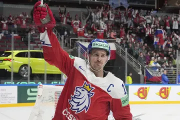 Roman Červenka se raduje z gólu na mistrovství světa