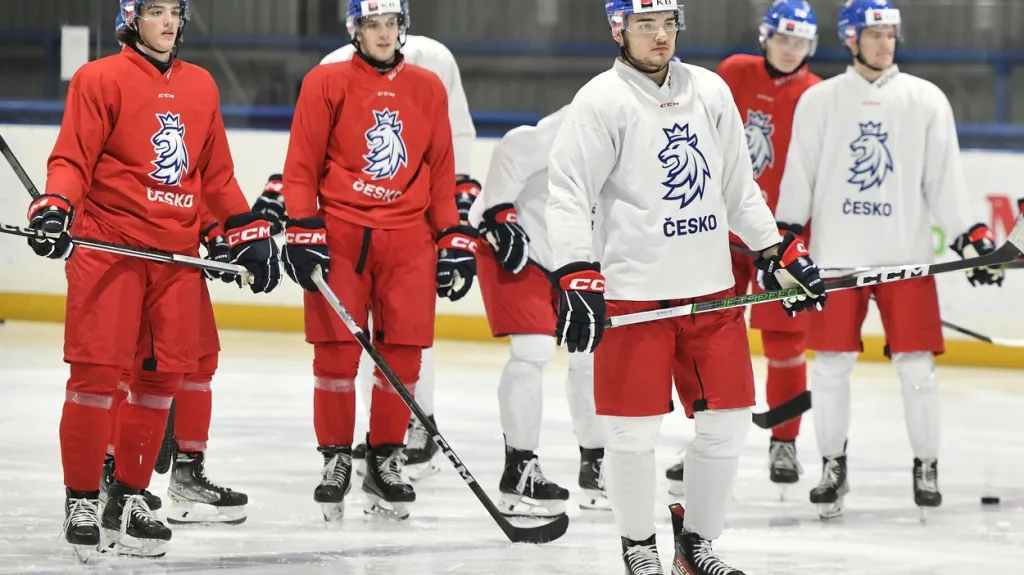 Čeští hokejoví junioři