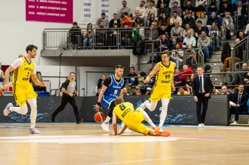 Ondřej Sehnal v utkání proti Švédsku