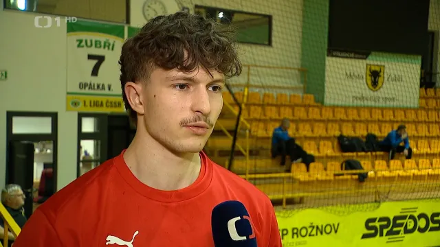 Házenkáři v Zubří ladí formu na ME