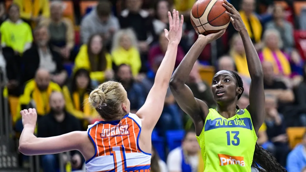 Utkání USK Praha – Schio