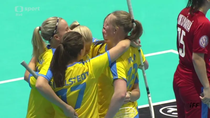 Sestřih a ohlasy utkání Česko - Švédsko