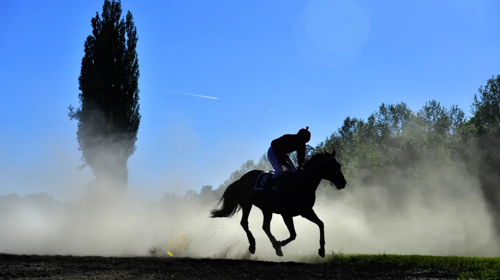 Tmavý hnědák Black Canyon vyhrál Velkou červnovou cenu