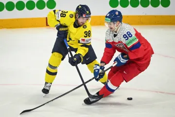 Martin Nečas v utkání proti Švédsku