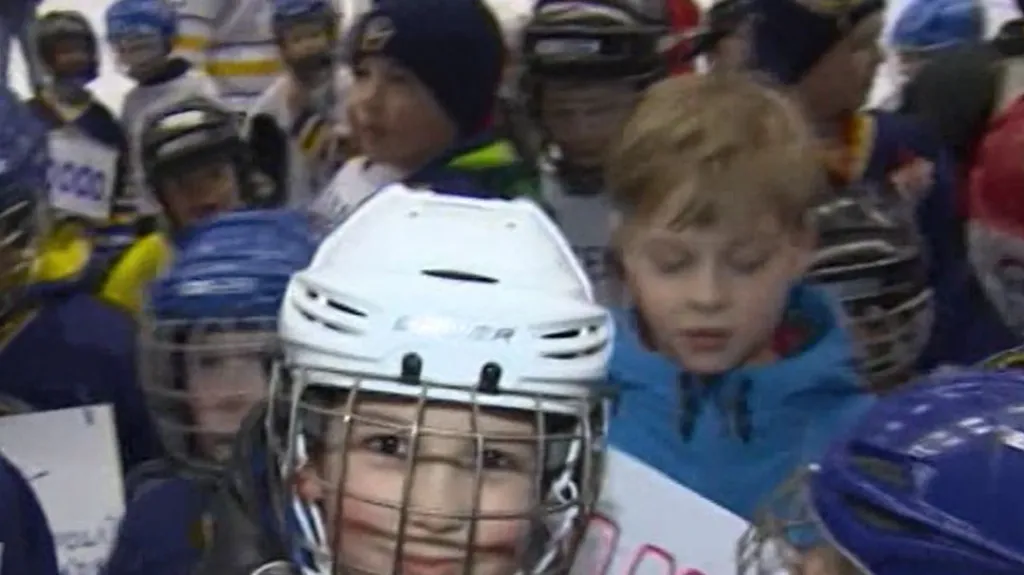 Zastupitelé přidělili dotace jindřichohradeckým klubům Vajgar a Střelci