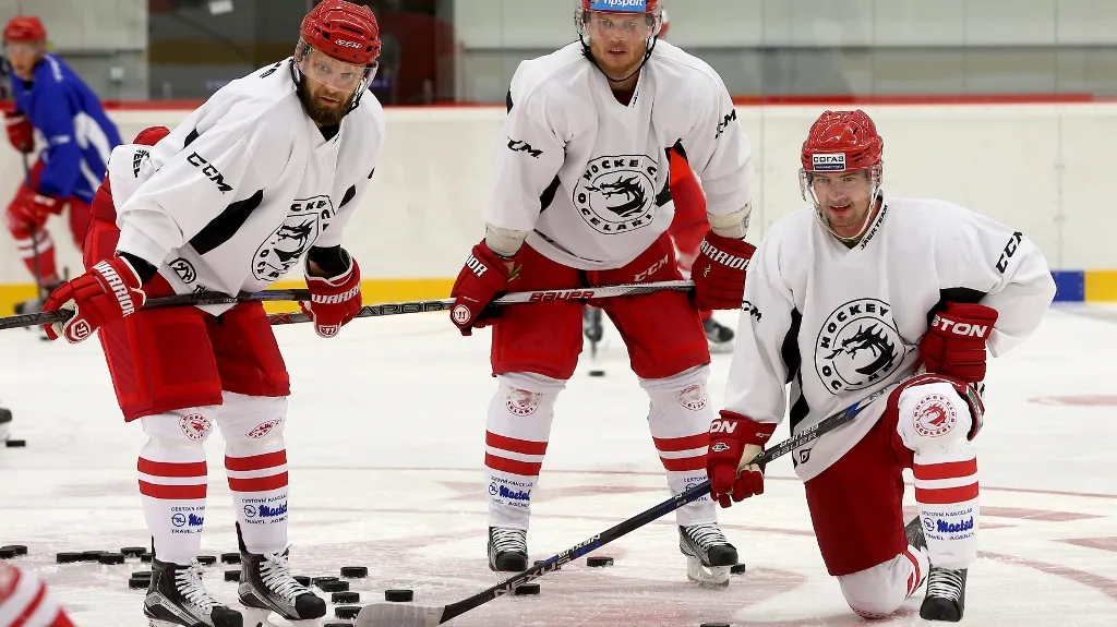 Třinečtí hokejisté