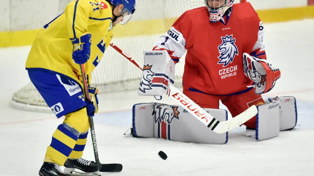 Česko 20 - Švédsko 20