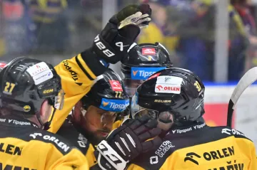 Hokejisté Litvínova