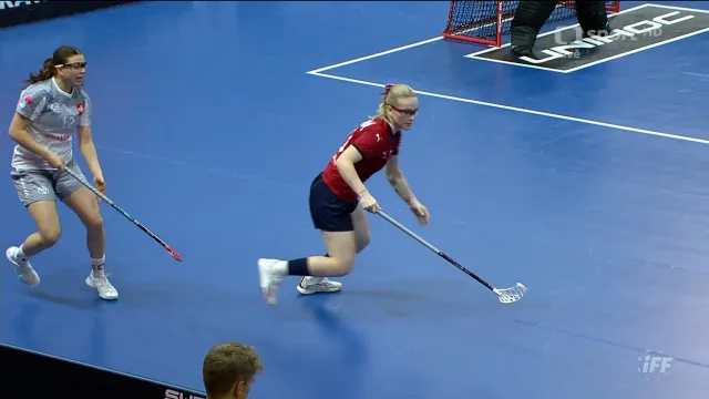 Sestřih a ohlas utkání Česko – Švýcarsko