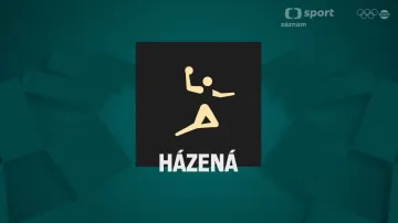 Záznam finále Francie - Dánsko