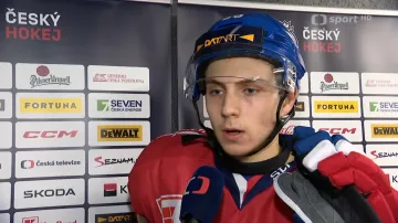 Cibulka: Věděli jsme, že Finové budou aktivnější