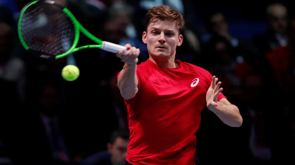 David Goffin
