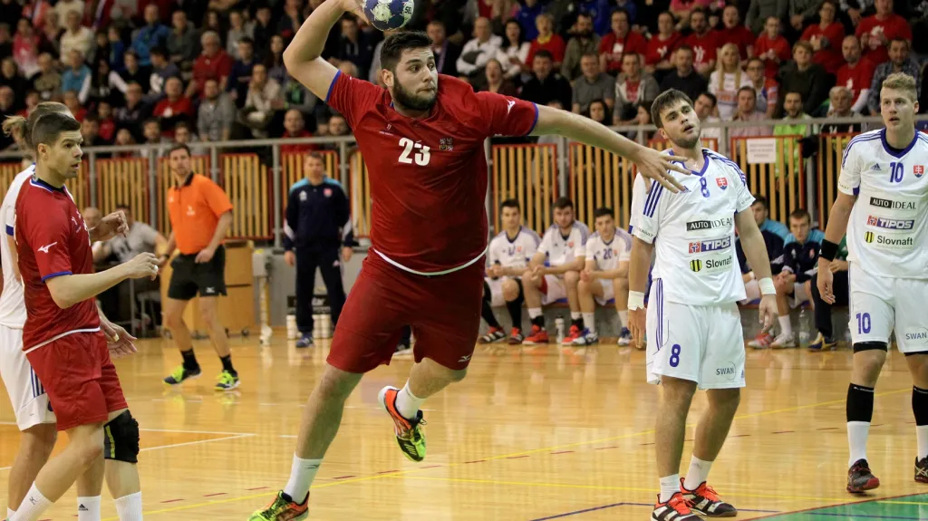 Utkání Česko - Slovensko