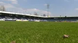 Události: Za jakých podmínek se vrátí fanoušci na stadiony