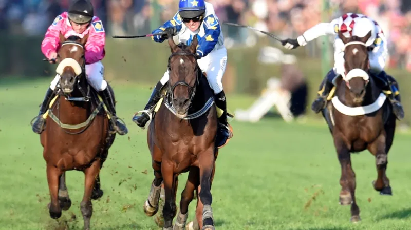 Marek Stromský v sedle Nikase pádí do cíle 125. Velké pardubické