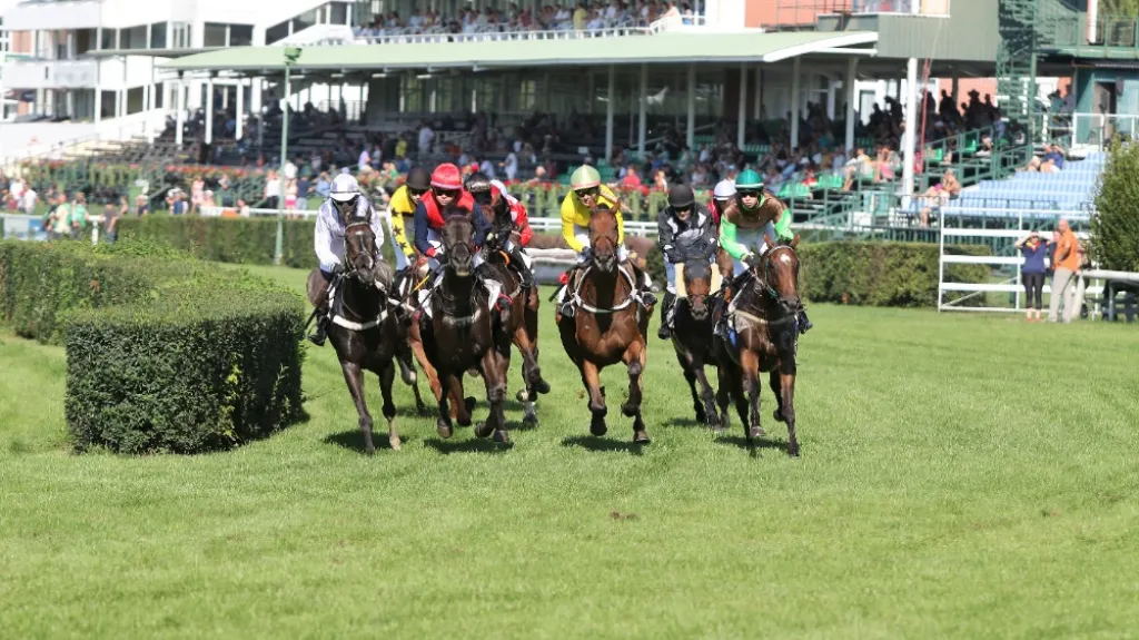 Dostihy v Pardubicích