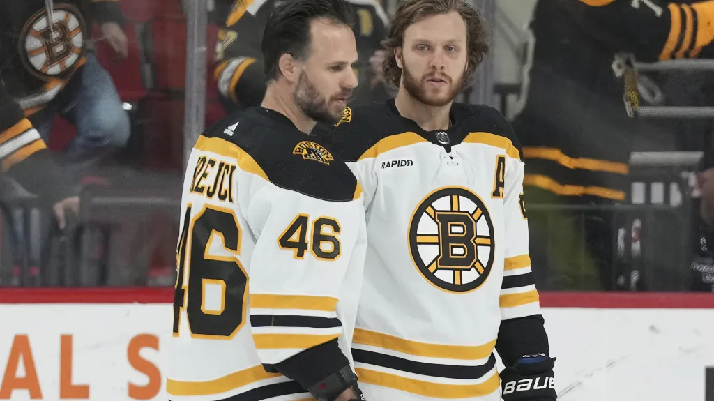 David Krejčí a David Pastrňák