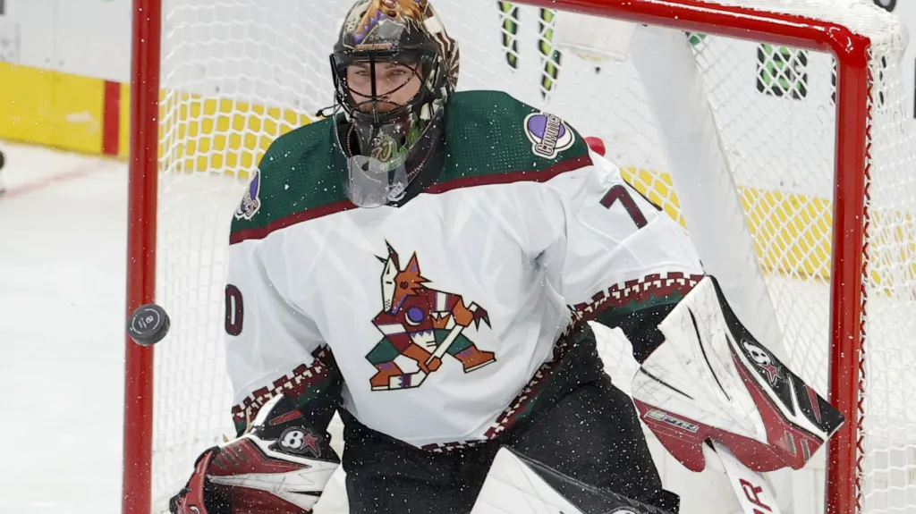 Karel Vejmelka v dresu Arizony