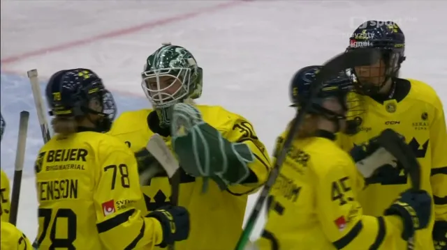 Sestřih utkání Česko – Švédsko