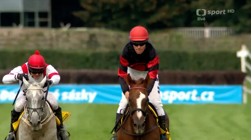 Čtvrtou kvalifikaci na Velkou pardubickou vyhrál Argano